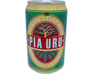 Bière au fruit de l'arbre à pain (Uru)